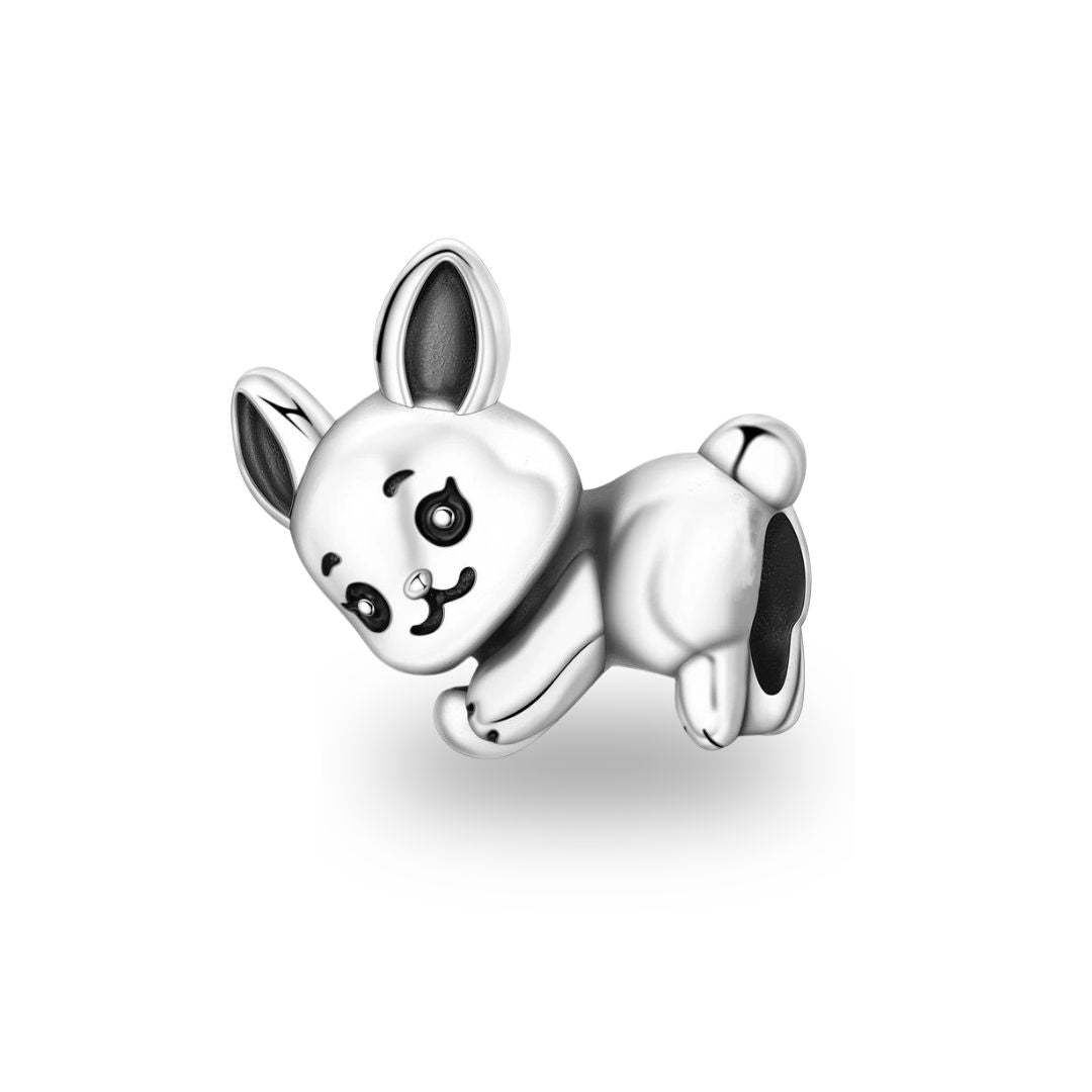 Charm conejita