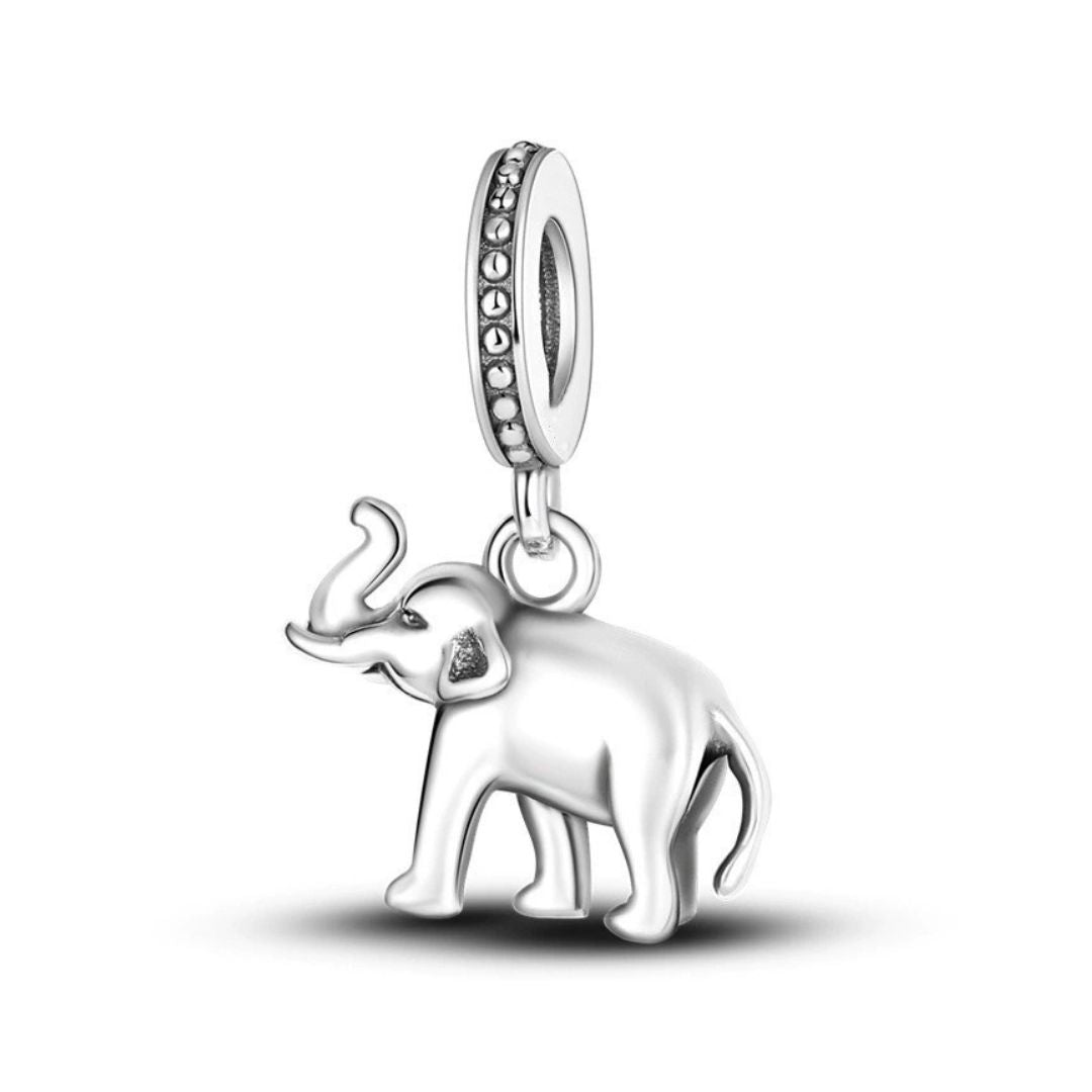 Charm elefante safari